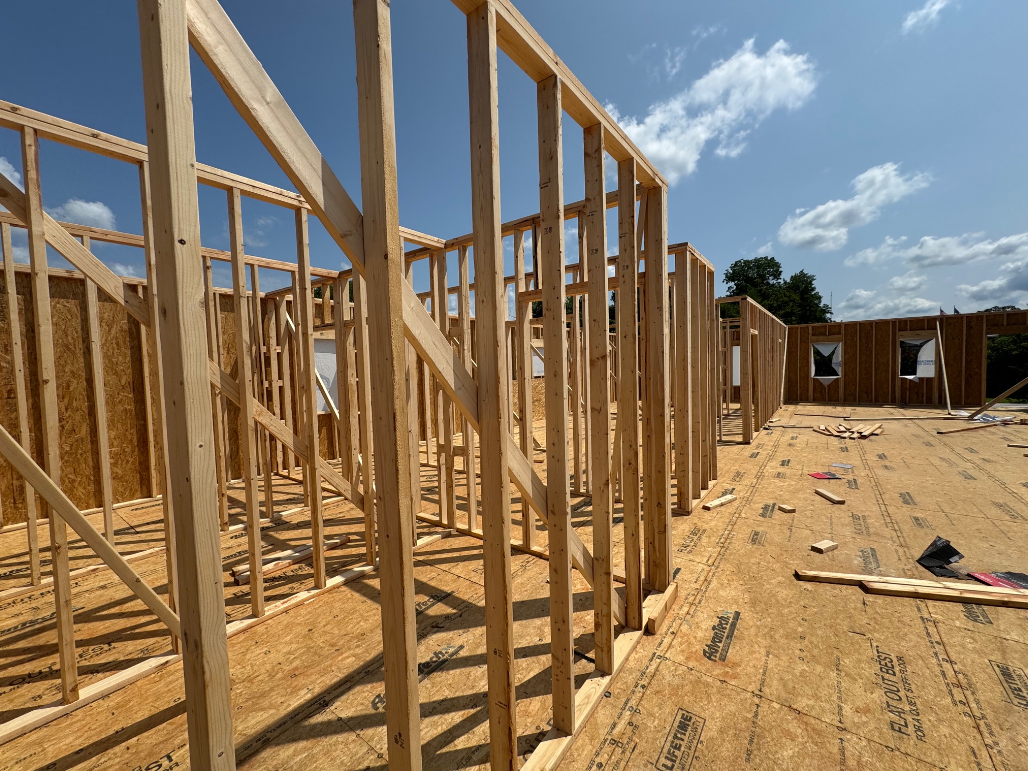 Interior framing of the new addition
